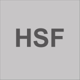 HSF - spezial Polierverfahren